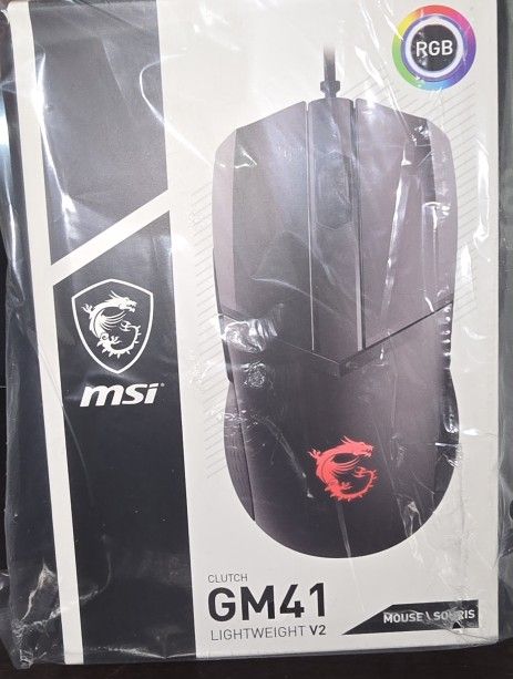 Msi GM41