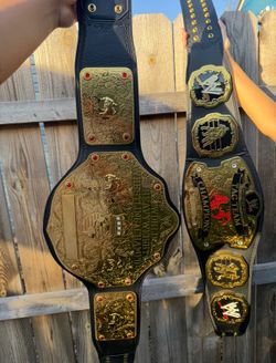 WWE big gold and ruthless aggression champions