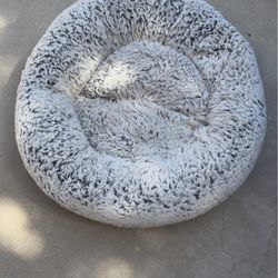 Pet Bed OFFERS WELCOME