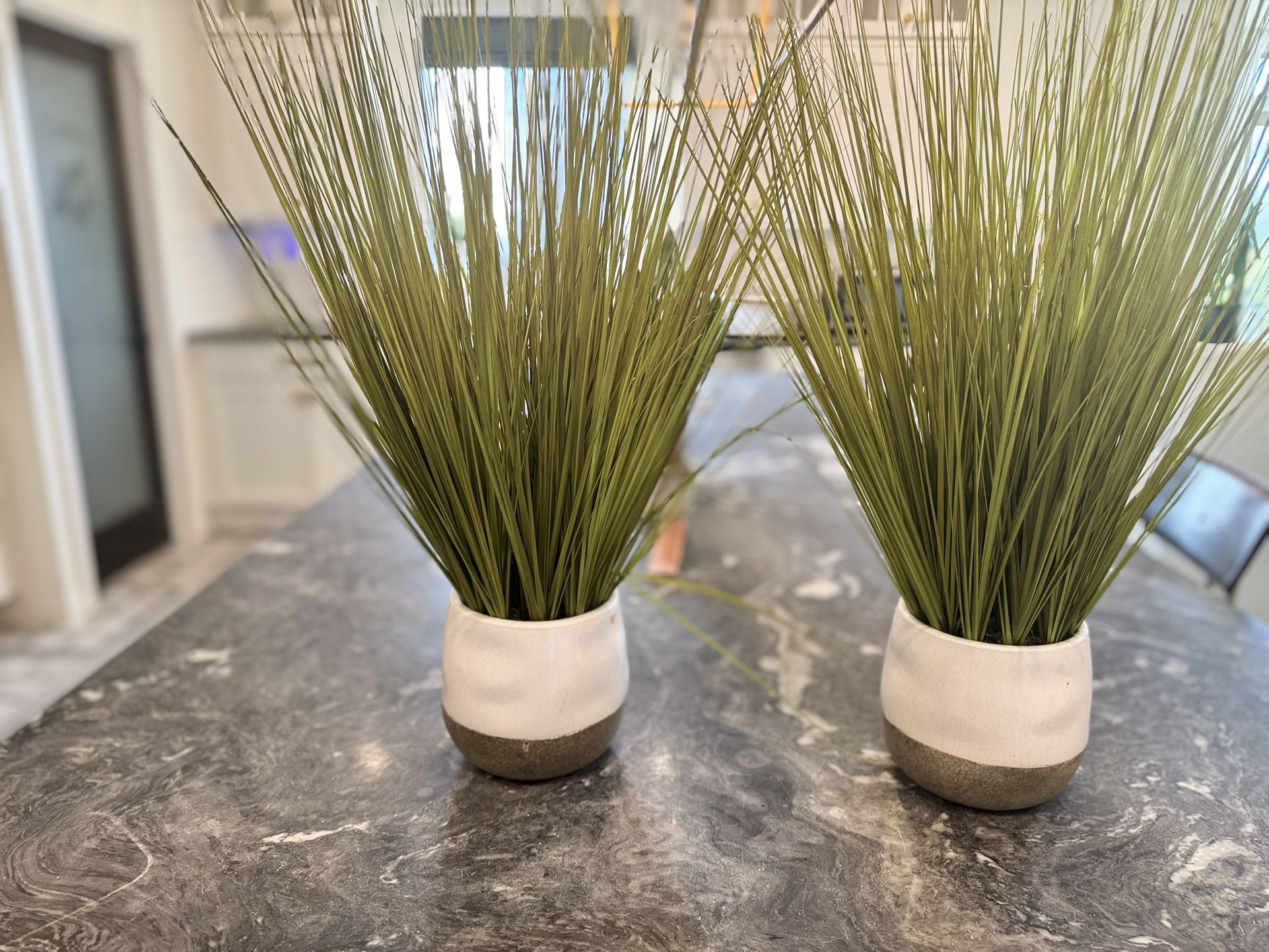 Faux Plants