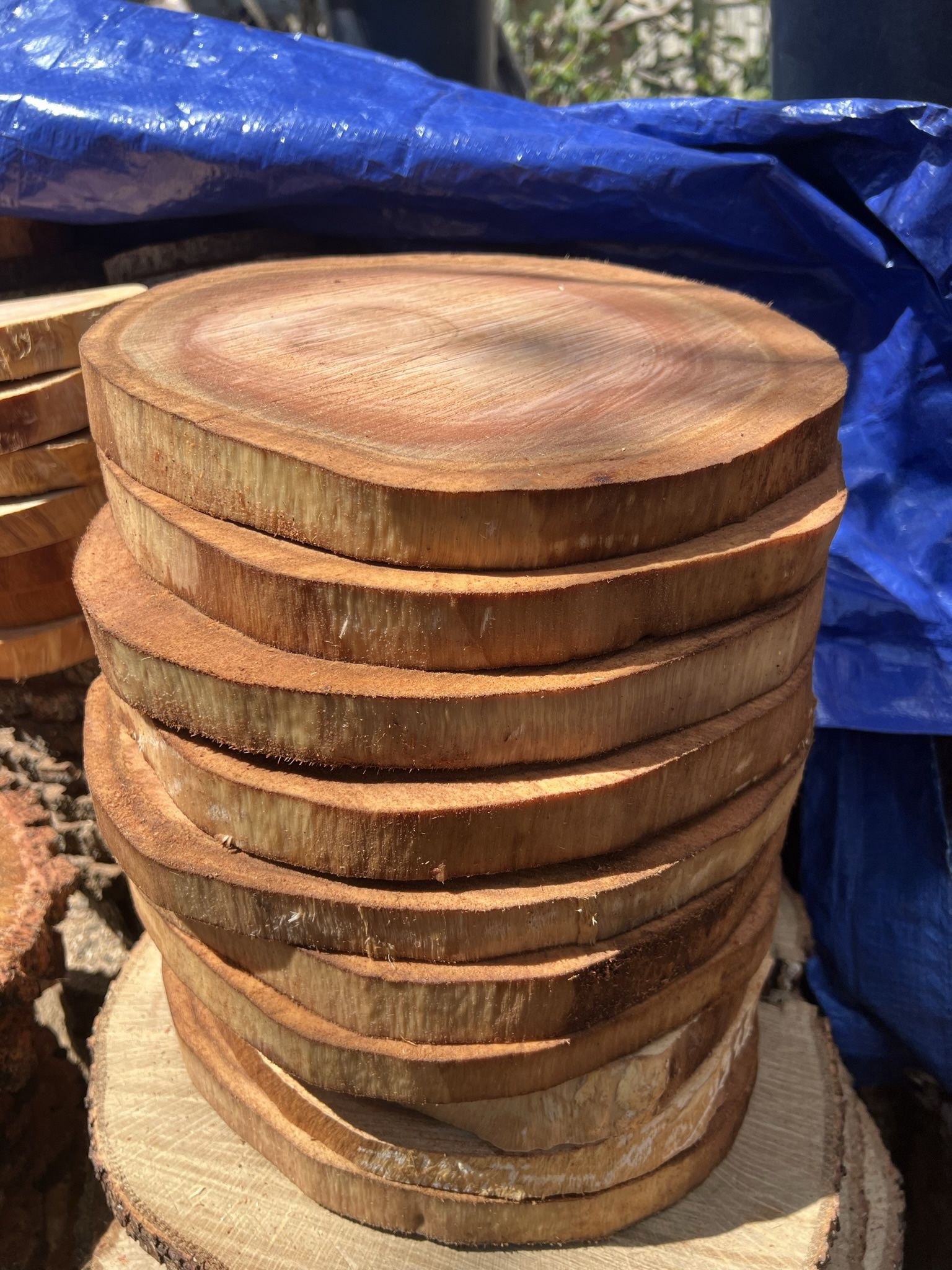 Eucalyptus Wood Slices (Center Pieces)