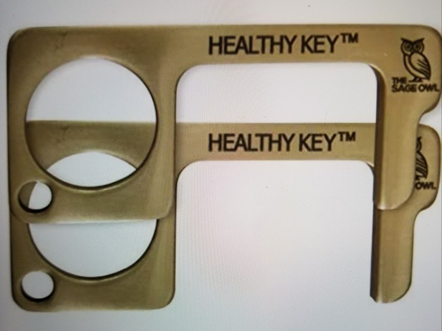 2x Sage Owl Brass Door Opener
