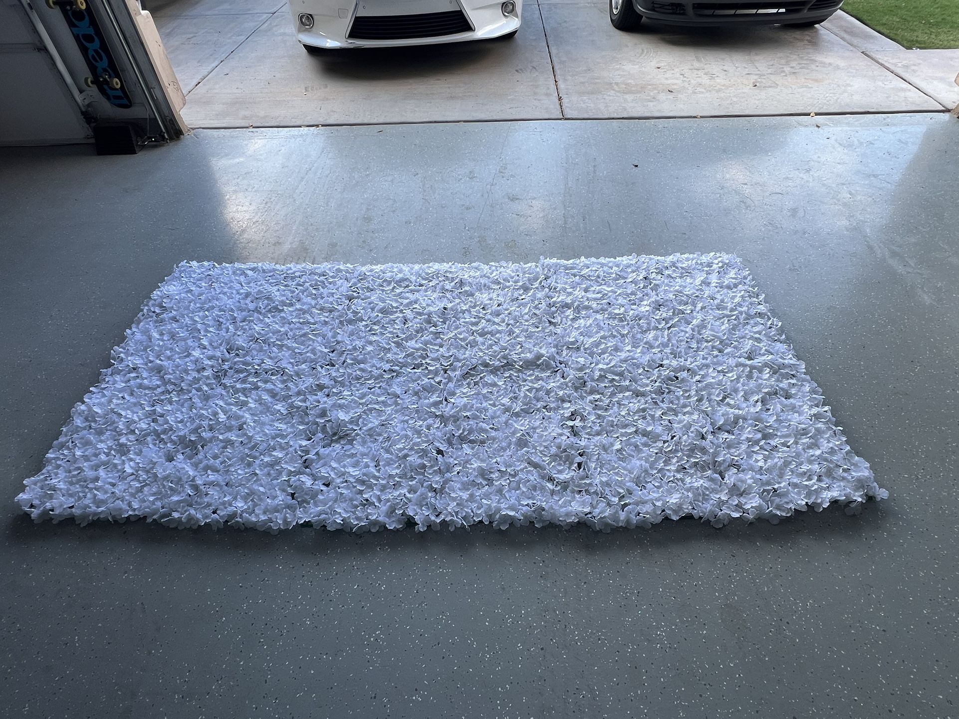 White Flower Boxwood Hedge ( Back Drop )