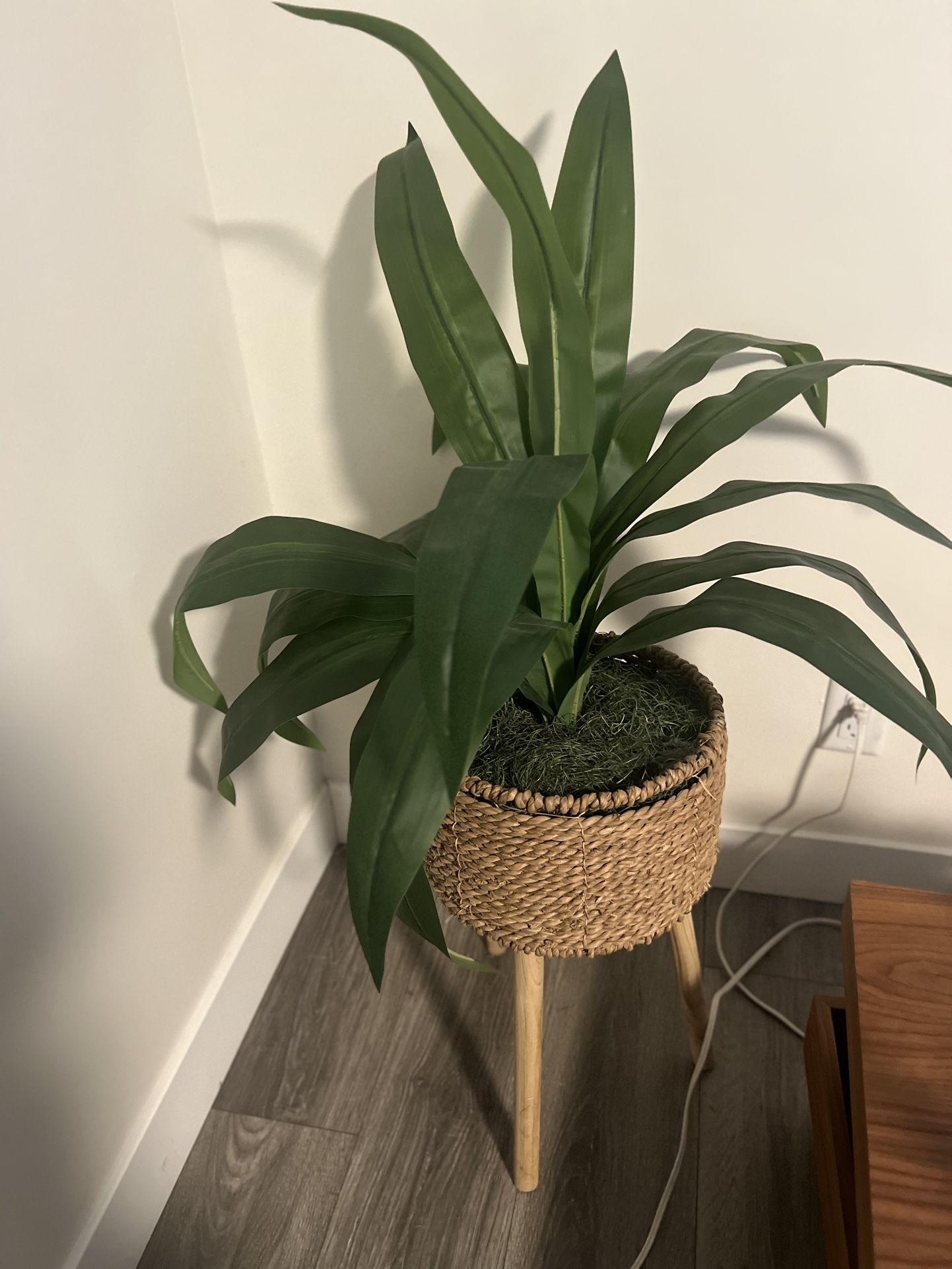 Fake Plant