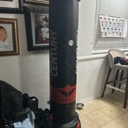 Punching Bag