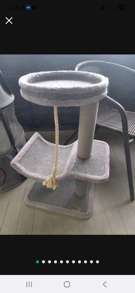 2 cat post scratch climbing