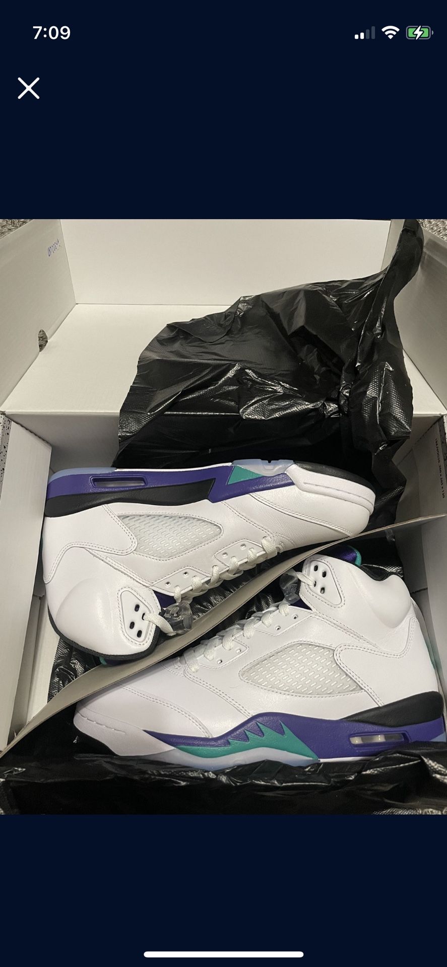 Jordan 5 Retro Grape