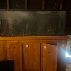 Fish Tank