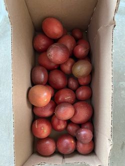 Passion Fruit (Maracuya) $5 for What You See