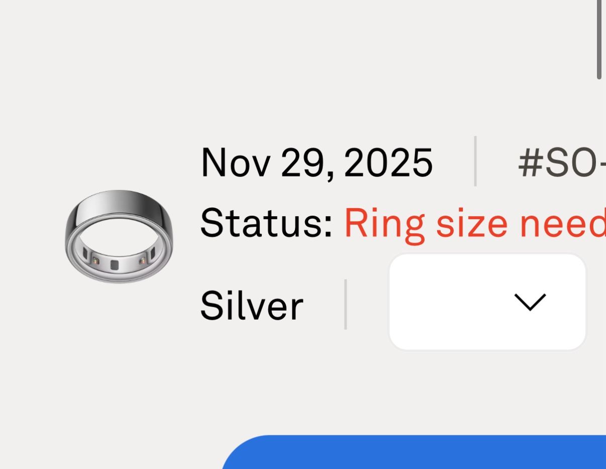 Oura Ring 4 Silver