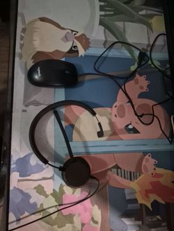 Computer mouse and headset