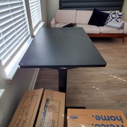 Flexispot Adjustable Table - Excellent Condition for $175 Only!