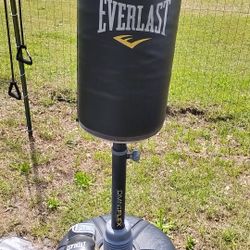 Everlast Punching Bag And Gloves