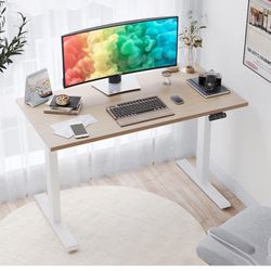 48Inch Electric Home Office Standing Desk