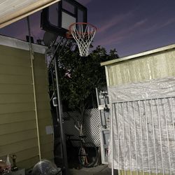 Basketball Court