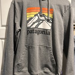 Patagonia (Men’s/Unisex) Hoodie - Grey 