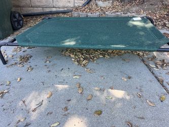 Elevated Pet Cot Dog Bed