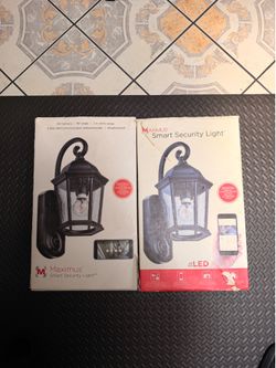 Maximus Security Lamp