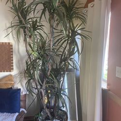 Fake Tree plant with lights