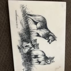 Montana Wolfe Picture 