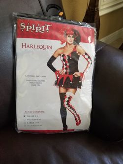 Harlequin costume