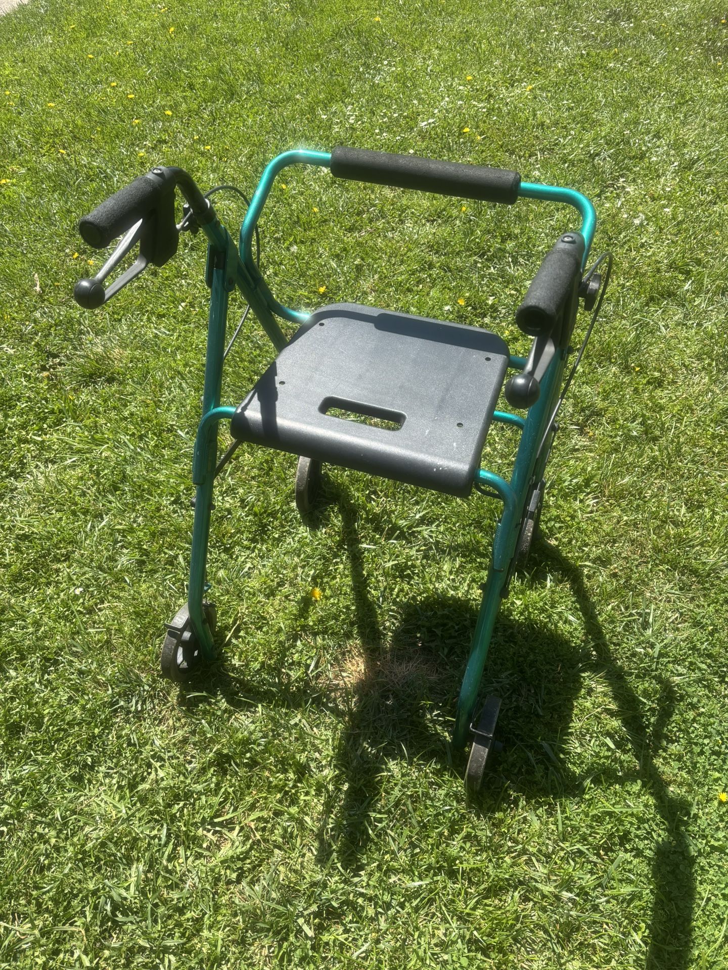 Walker Adult