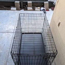 Dog Kennel