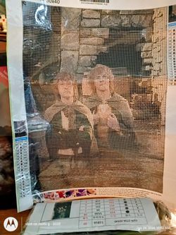 Lord of the Rings Pippin and Mary diamond painting complete kit