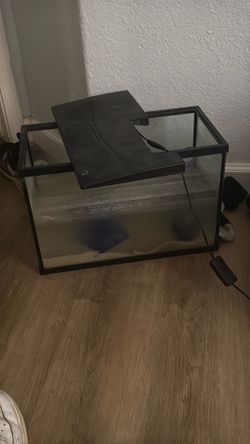 Fish tank