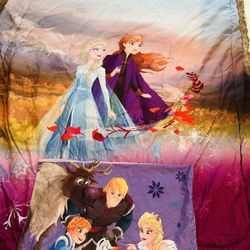 Frozen twin comforter