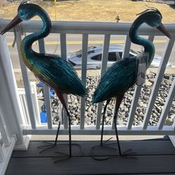 Birds 