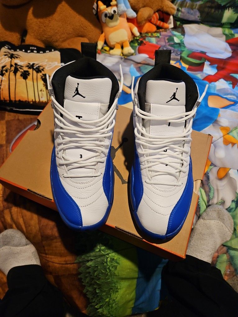 Jordan 12 Blueberry Size 9.5