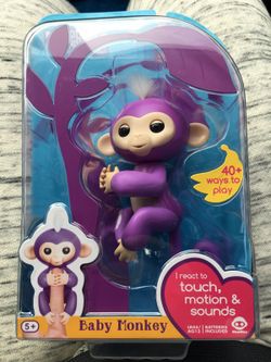 Monkey