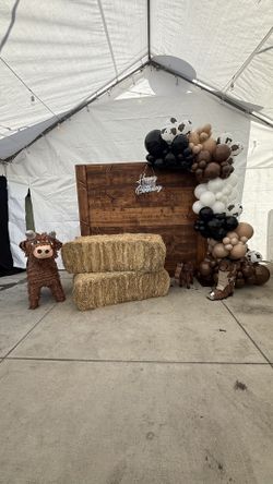 Set Up- Balloons And Back Drop