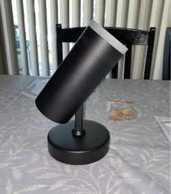 Mounted Spotlight