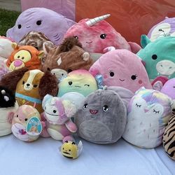 Squishmallow Stuffed Animals.