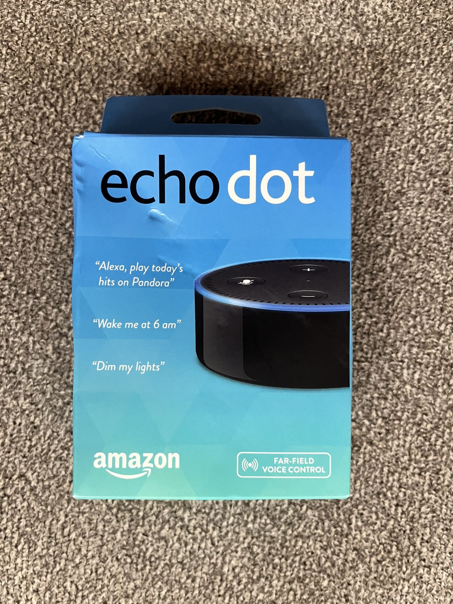 Echo Dot