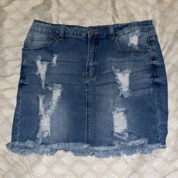 Denim Distressed Skirt