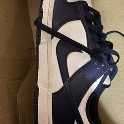 Nike Air Dunks Low Retros 