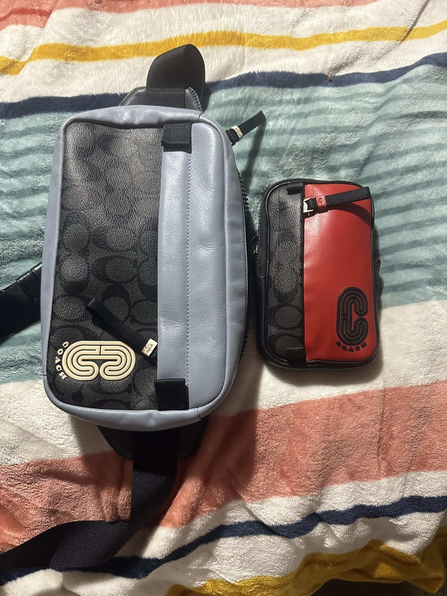 Coach Bag And Crossbody Bag