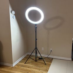 Adjustable LED Ring Light with Tall Tripod Stand