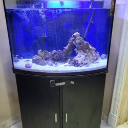 Fish Tank Aquarium. 32 Gallons