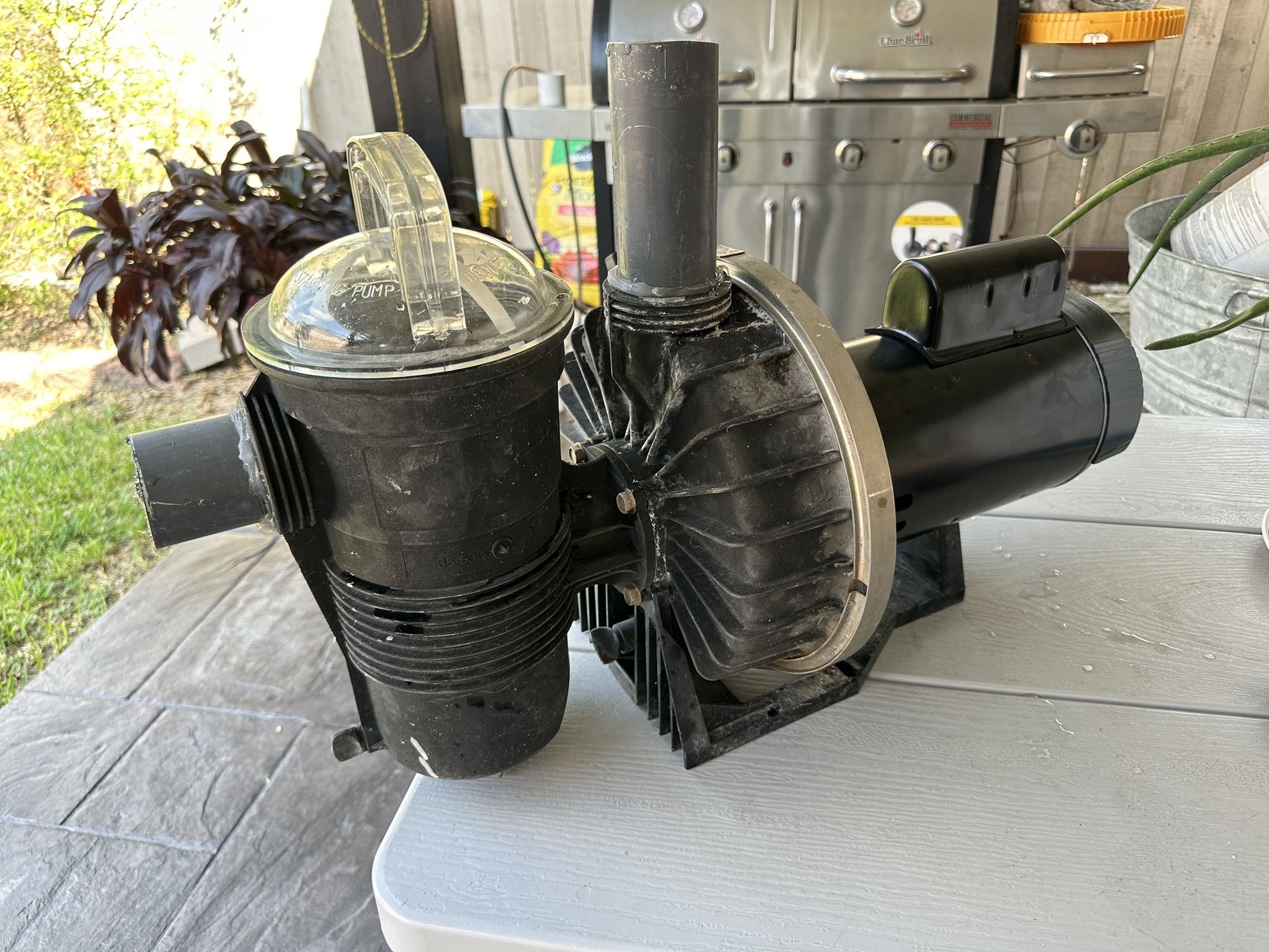 Pentair Challenger Pool Pump