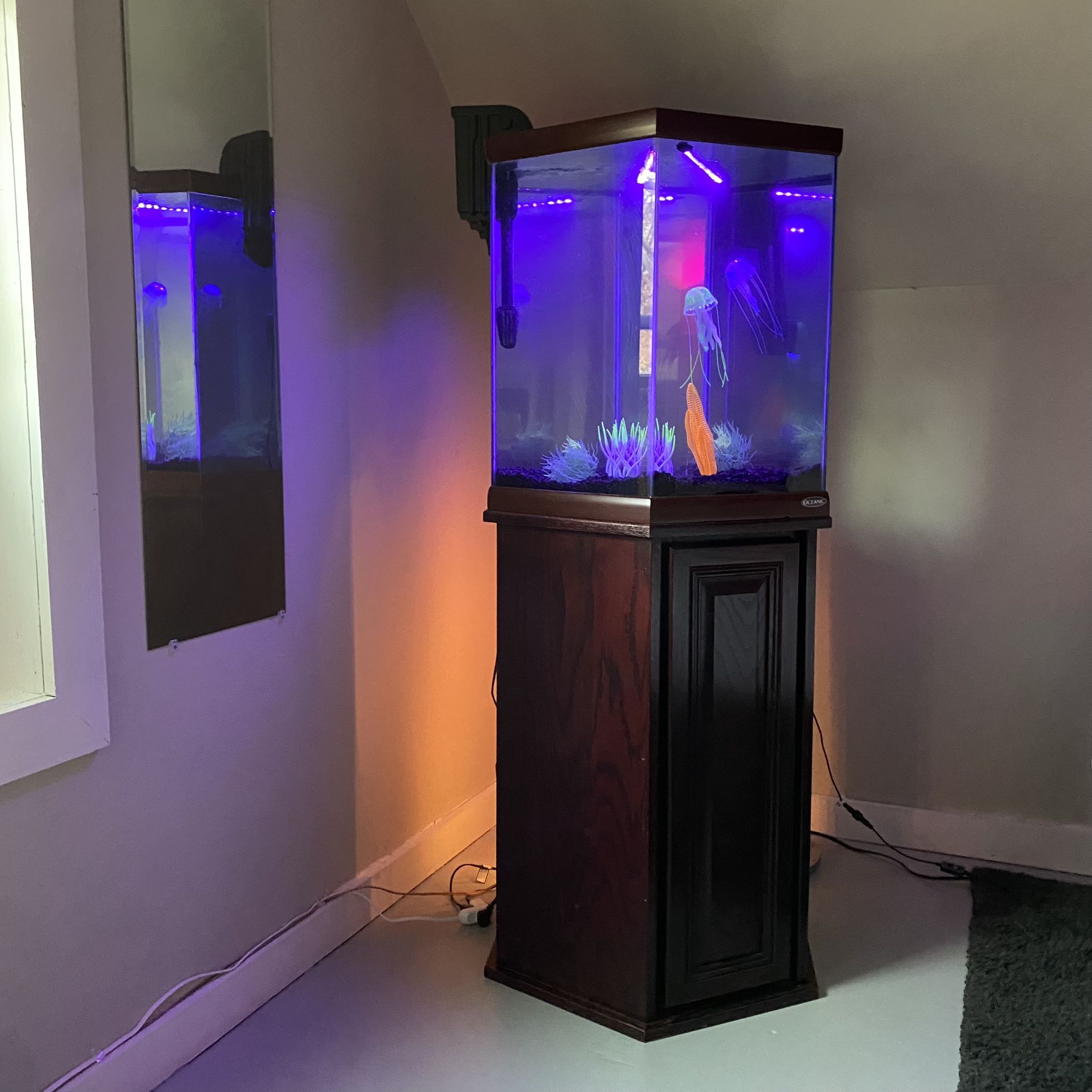 Freshwater Fish Tank / Aquarium 