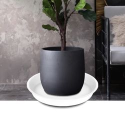 Angde Plant Saucer 18 19 Inch (17 Inch Base), Pack of 6, Plastic Plant Saucers 18 inch Round, Plant Saucer Drip Tray for Planters, Plant Water Trays f