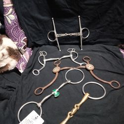 Horse Tack, Bits, Spurs, Youth chaps Price OBO