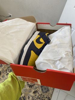 Nike Dunk ‘Michigan’