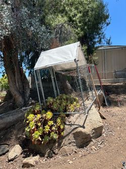 Chicken coop