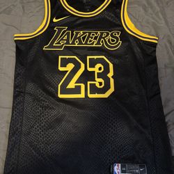 LeBron James Los Angeles Lakers Black Mamba Jersey
