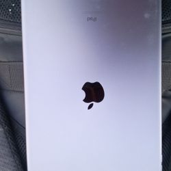 Apple Ipro Tablet,Ash Gray Color 